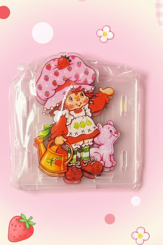Acrylic Character Pen/Pencil Box